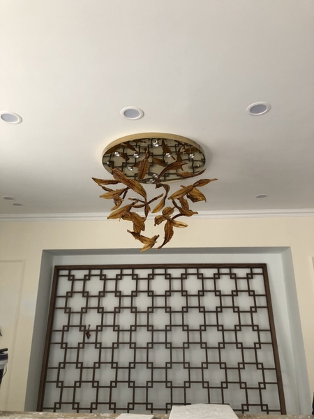 Đèn chùm phale lá lông chim PL045, KT(mm): D800*H500, gồm 35 lá hổ phách, Đèn led dim 3 màu COB