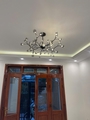 Đèn thả TH187D1_45 bóng, thân đen, G4 x 45, lá khói