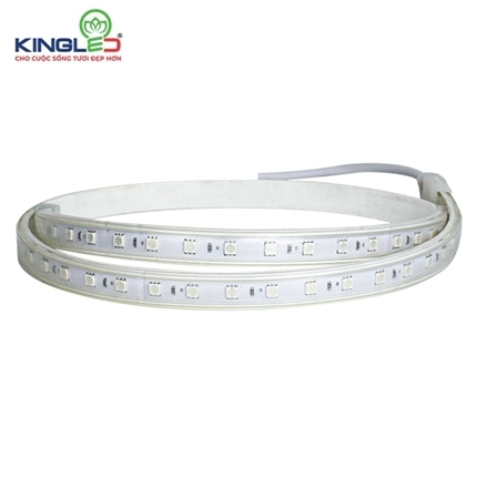 Đèn led dây King led RGB EC_LD_7_5050_RGB