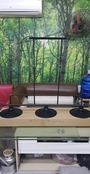 Đèn thả khung 3 bóng thân đen chao đĩa sắt đen nông phi 260 đui E27x3(chưa bóng)_TH113 Kích thước: 1200x680mm