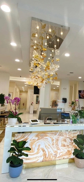 Đèn chùm pha lê thả thông minh PL030 gồm 110 lá phong chia 3 màu, 21 mắt COB dimmer có điều khiển xa, mâm hình chữ nhật inox gương trắng, KT(mm): L1500 x W900 x H1500