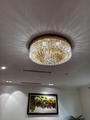 Đèn thả pha lê TH448 mâm vàng + pha lê, E14 x 11, kích thước (mm): D1000 x H500